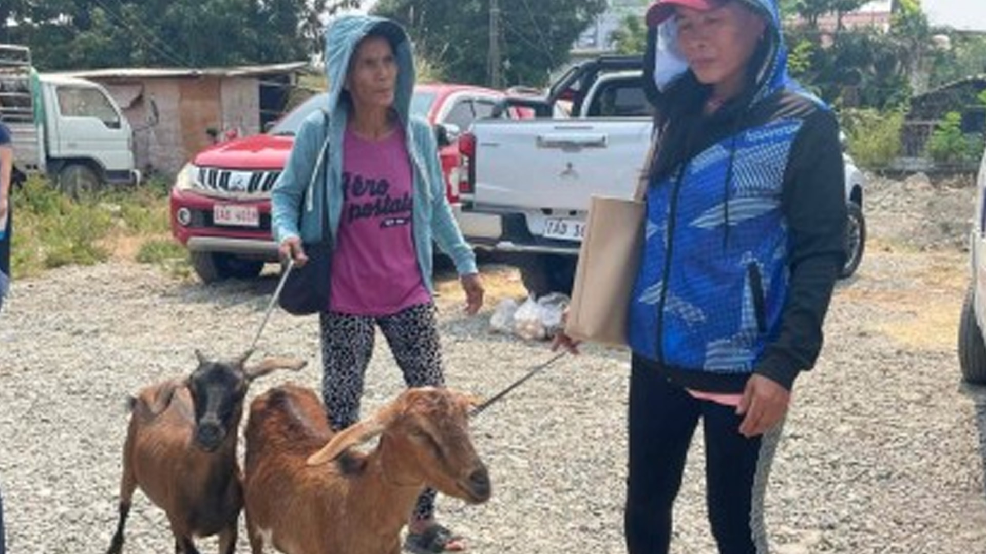 Ilocos Norte Delivers PHP12.6 Million Aid To Farmers, Fisherfolk