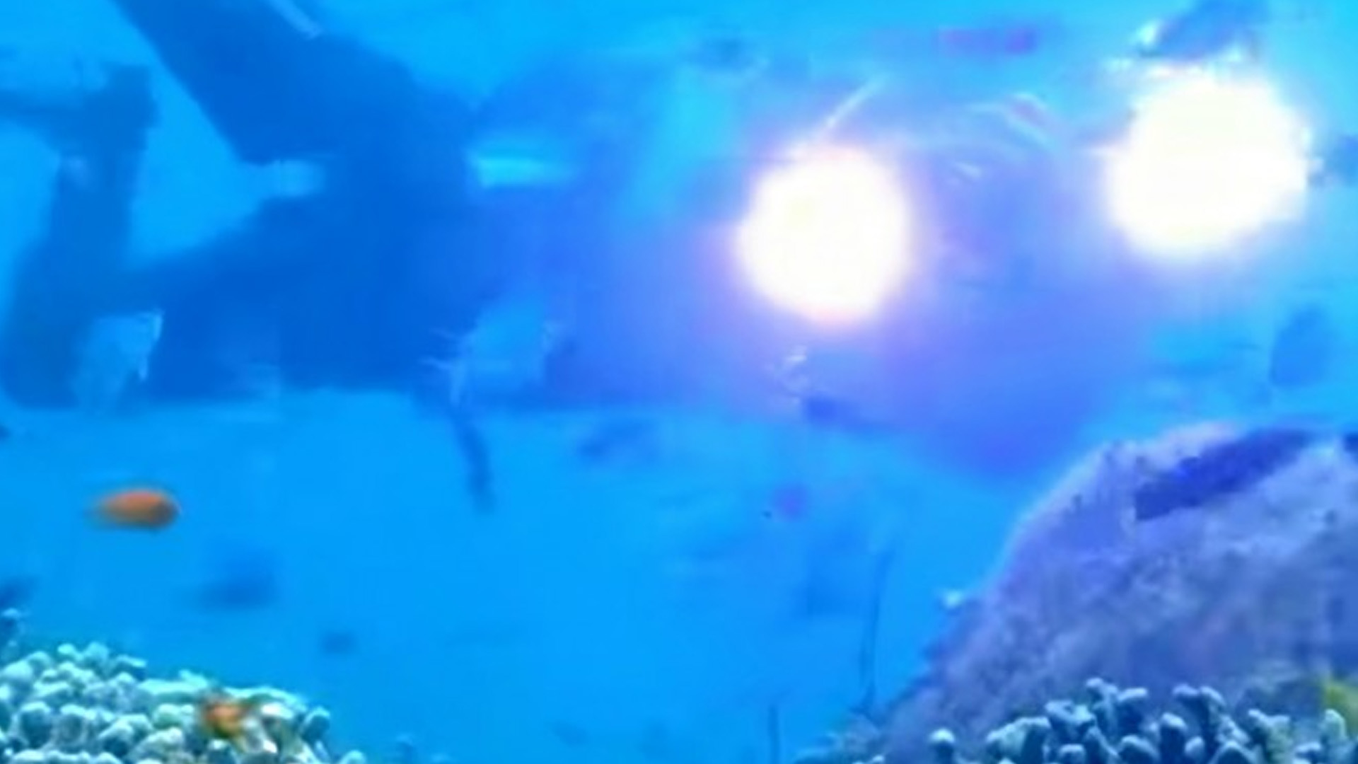 Lanao Del Norte Town Develops Key Diving Tourism Site