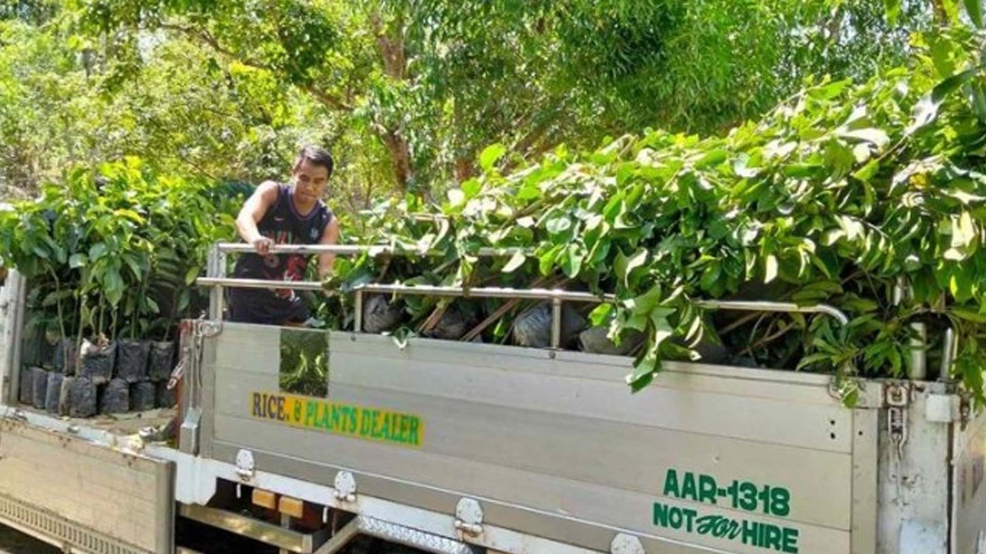 Ilocos Norte Town Fortifies Food Forest